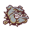 King's Fork High School logo